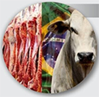 تصدير اللحوم البرازيلية